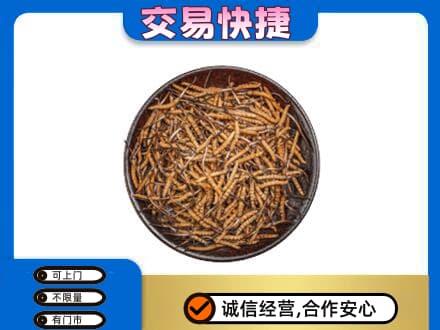 济宁高价回收散虫草