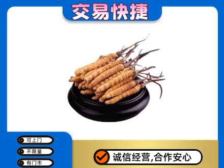 济宁回收冬虫夏草多少钱每克